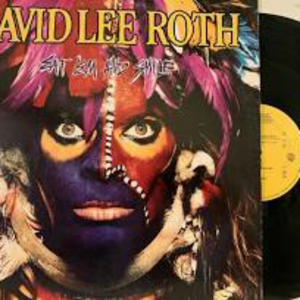 David Lee Roth Vintage Vinyl